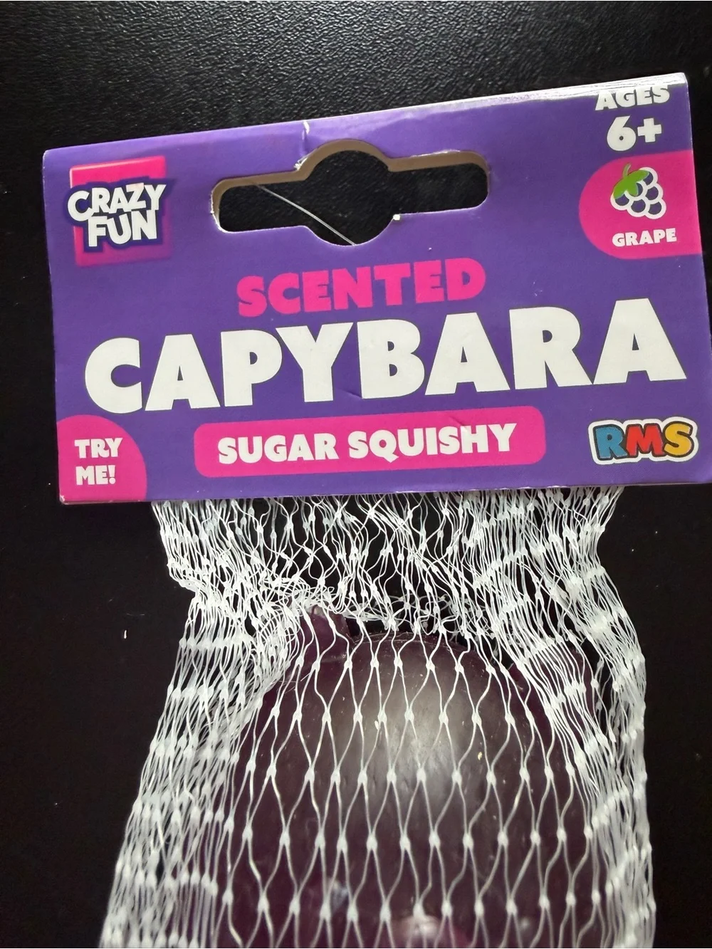 New Crazy Fun RMS Grape Scented Capybara Purple Sugar Squishy Toy 6+ Toy Fidget
